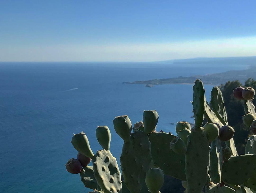 La Baia Dei Delfini Διαμέρισμα Ταορμίνα Εξωτερικό φωτογραφία